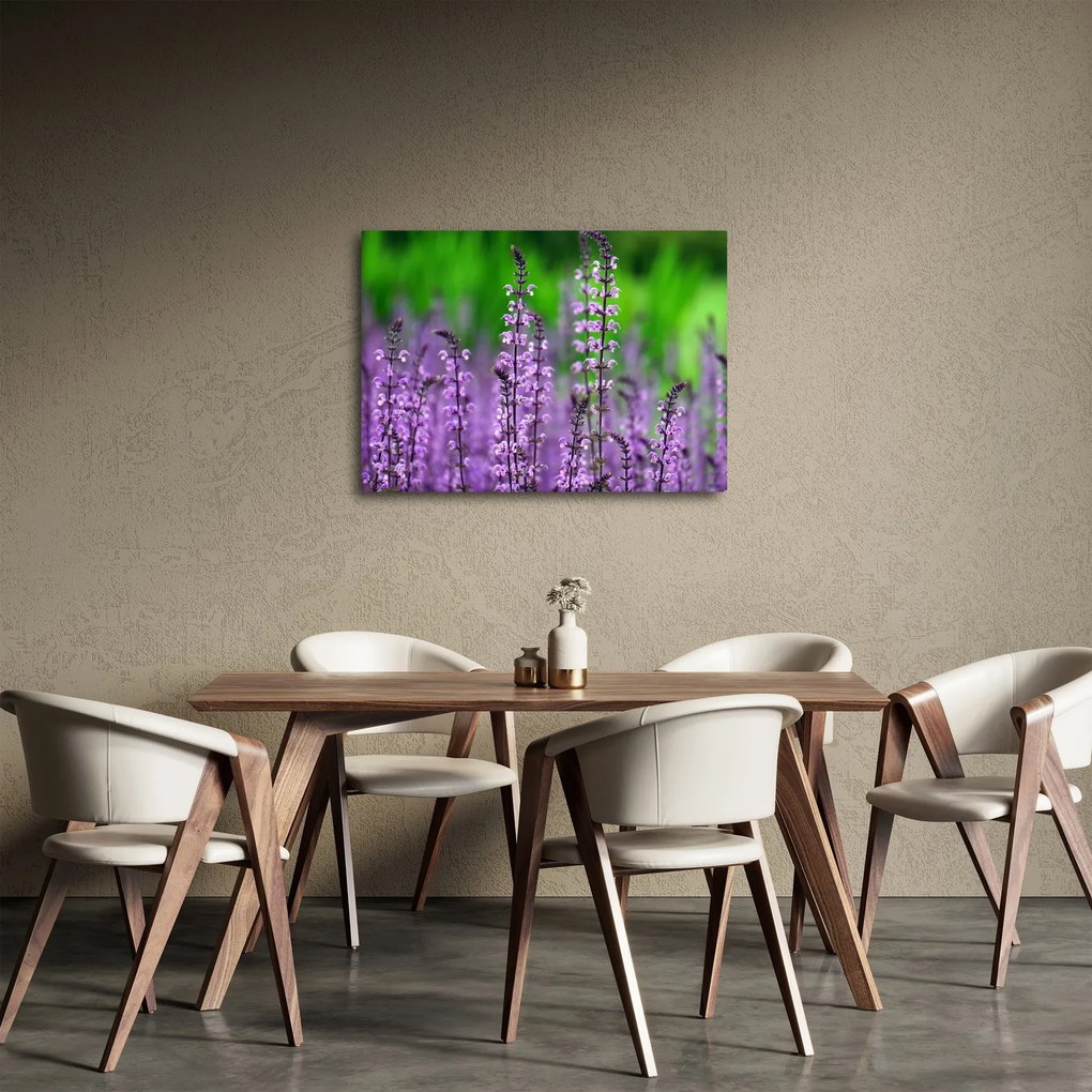 Obraz fioletowych kwiatów polnych (70x50 cm)