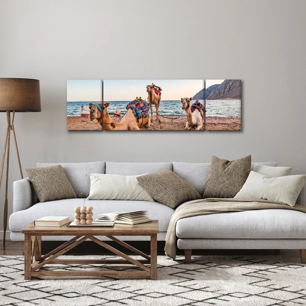 Obraz wielbłądów (170x50 cm)