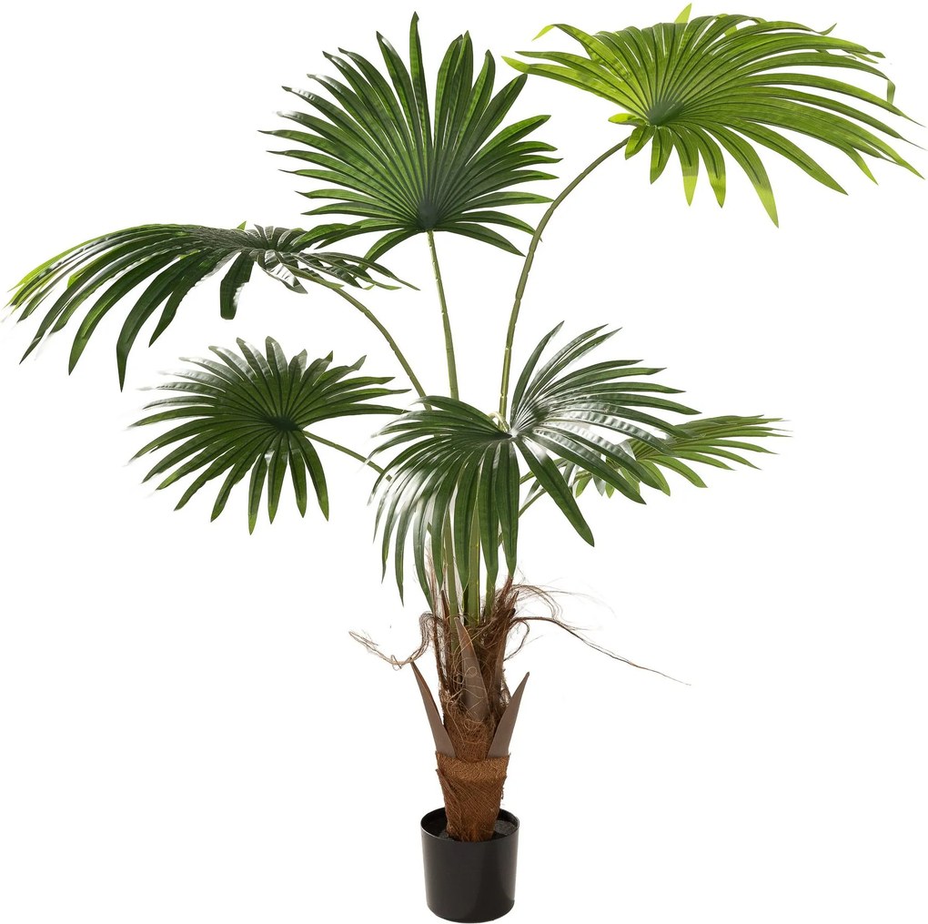 Palma wachlarzowa w doniczce 110 cm