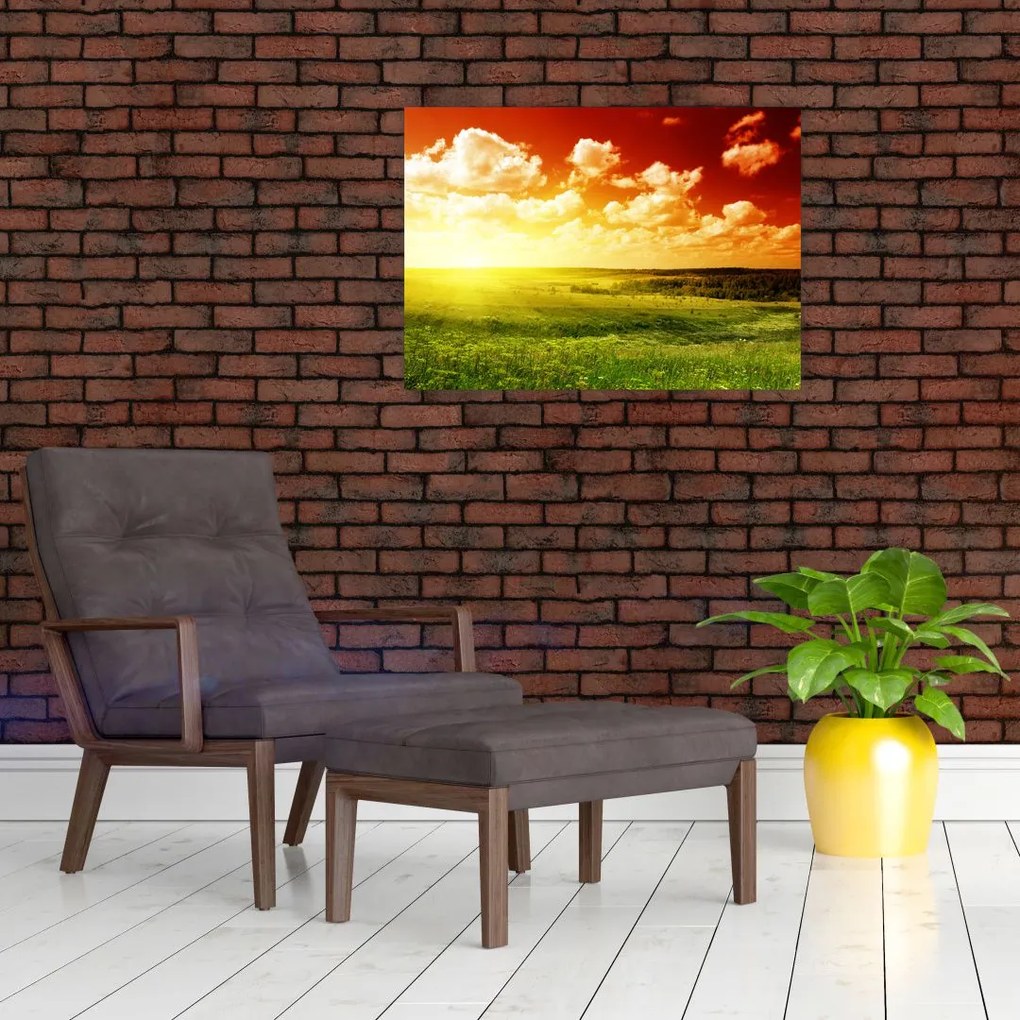 Obraz łąki ze świecącym słońcem (70x50 cm)