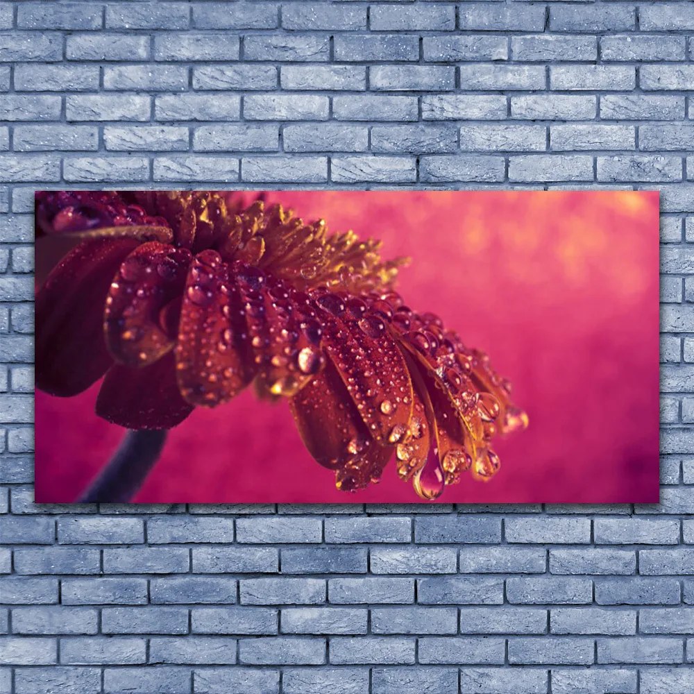 Zdjęcie na płótnie Majestatyczne Drzewo w Polu