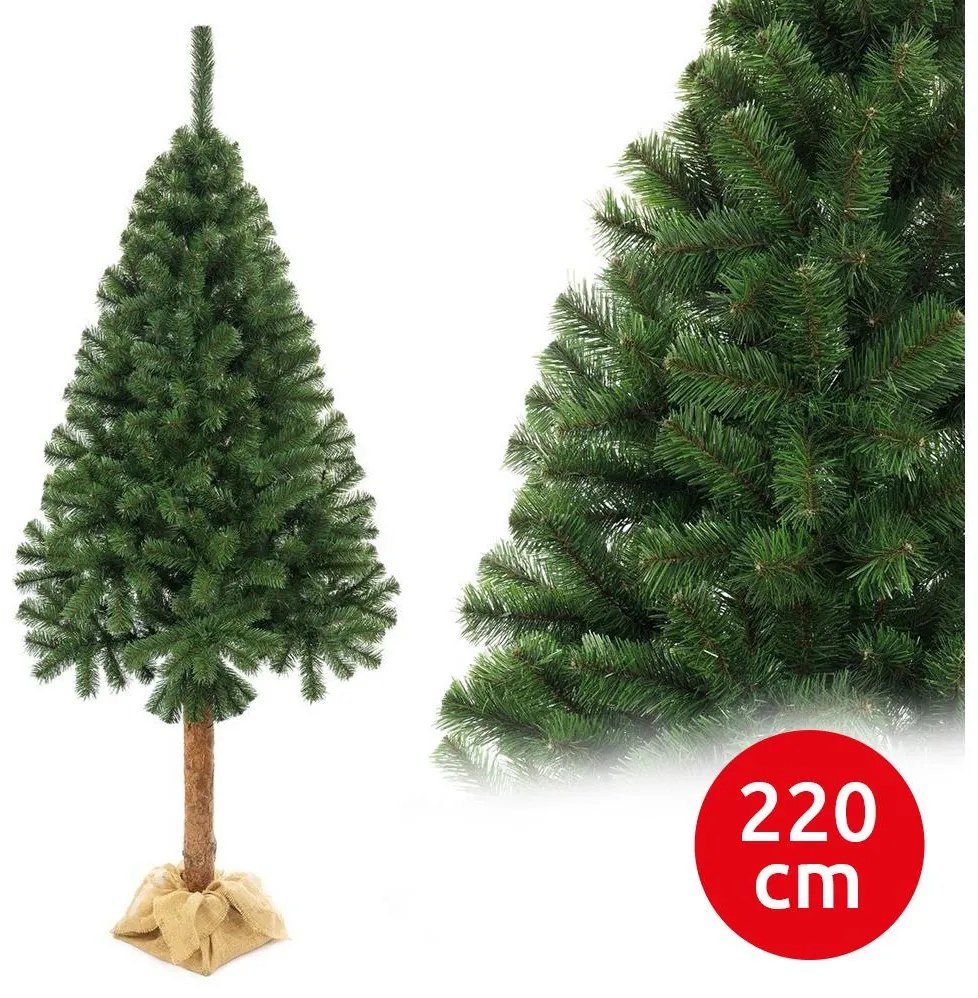Choinka jodłowa na pniu 220 cm