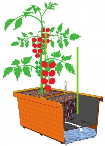 Skrzynka samonawadniająca Berberis DUO, terakota, 78 cm