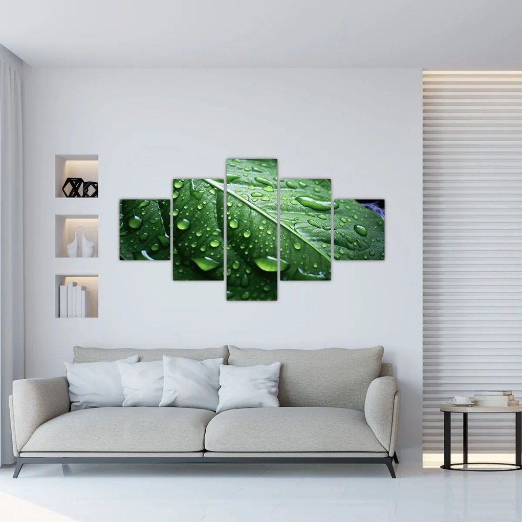Obraz - Szczegół liścia po deszczu (125x70 cm)