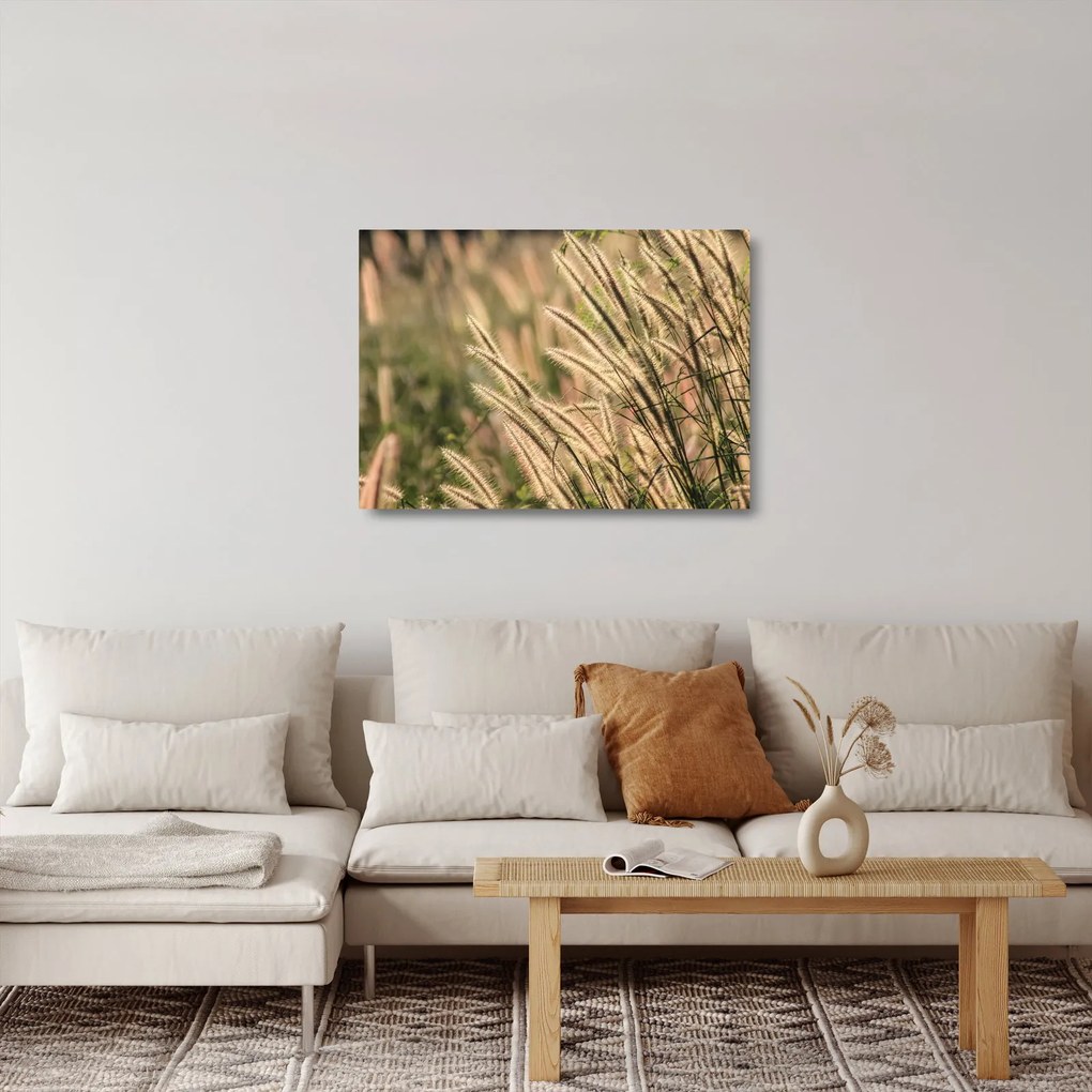 Obraz na szkle - Ziarno (70x50 cm)