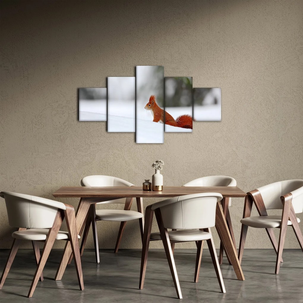 Obraz wiewiórki (125x70 cm)