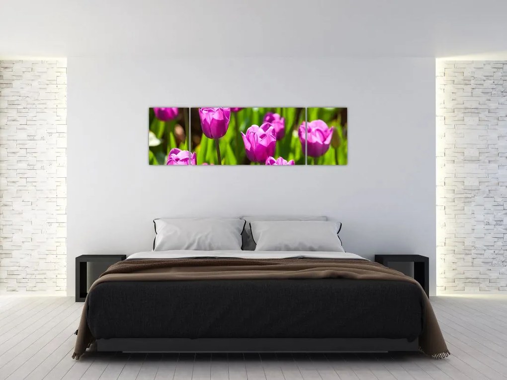 Obraz tulipanów na łące (170x50 cm)