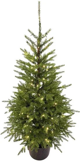 Choinka sztuczna w doniczce PE Świerk Karpacki 150cm 150LED
