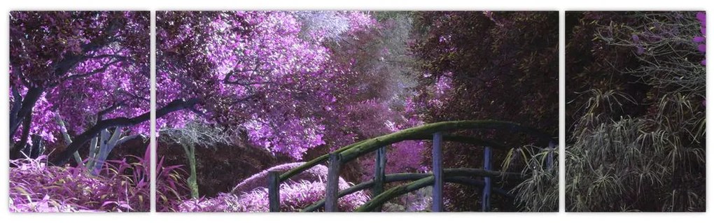 Obraz - fioletowe drzewa (170x50 cm)