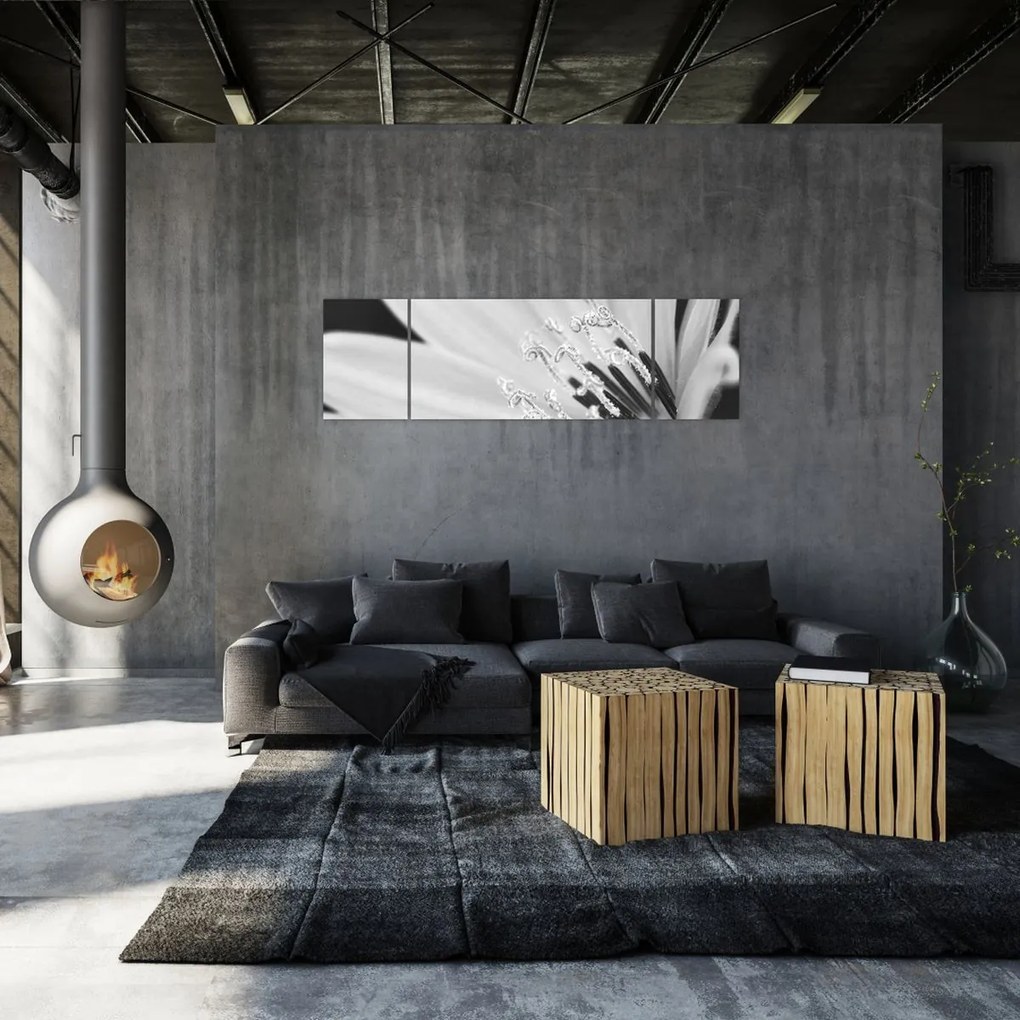 Obraz - Czarno-biały kwiat (170x50 cm)