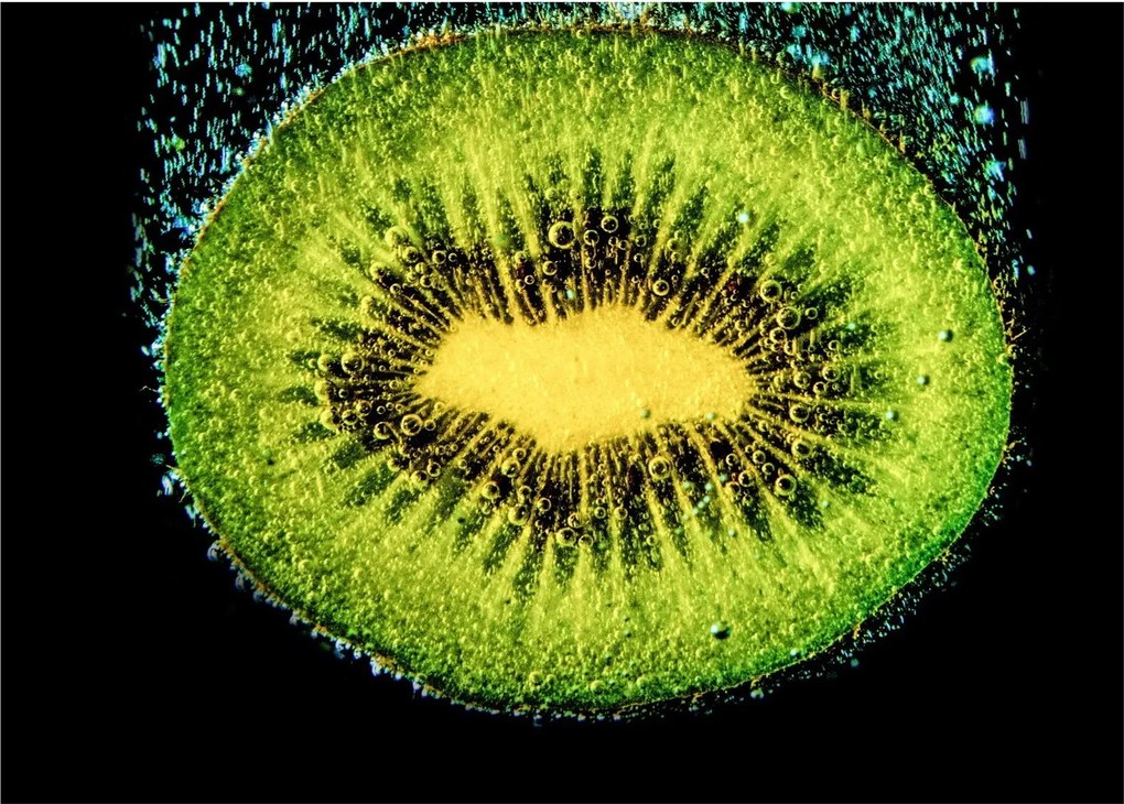 Obraz - szczegół kiwi w wodzie (70x50 cm)