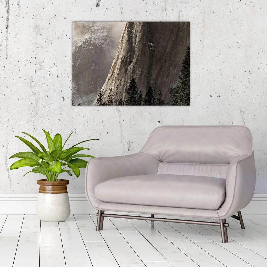 Zdjęcie z Parku Narodowego Yosemite Valley, USA (70x50 cm)