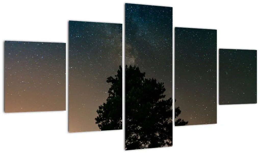 Obraz nocnego nieba z drzewami (125x70 cm)