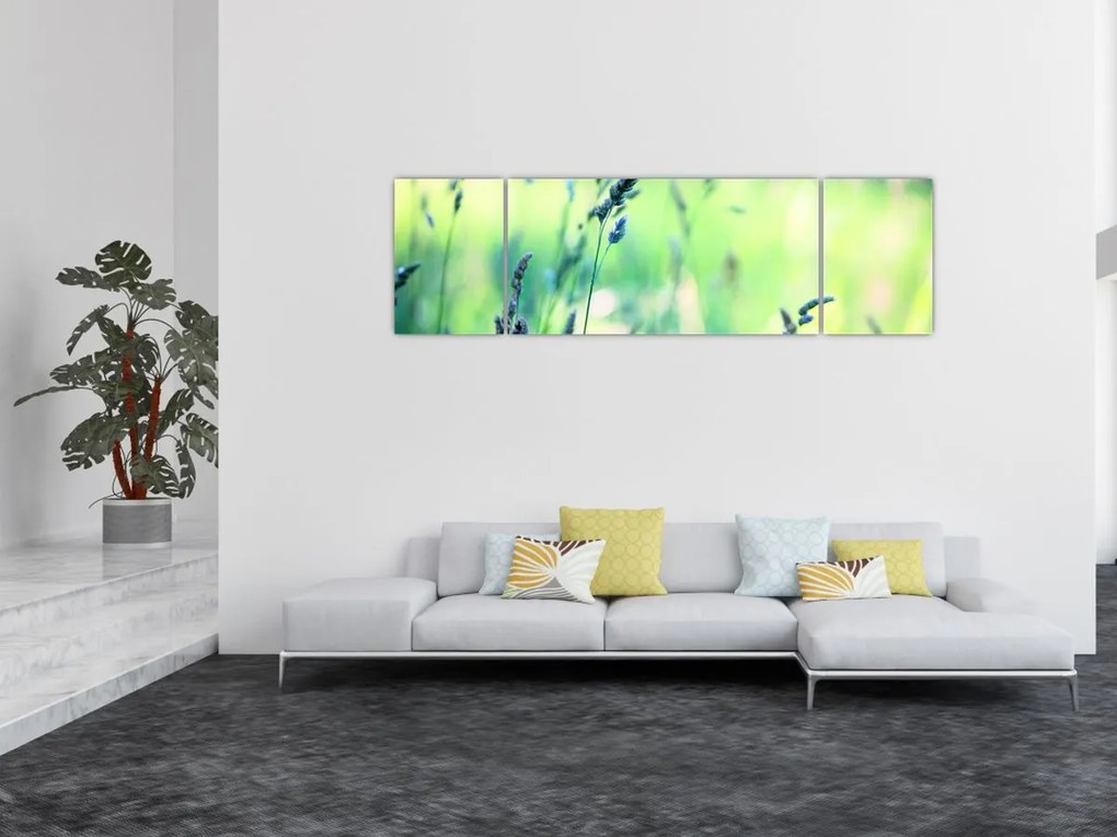 Obraz - Szczegół łąki (170x50 cm)
