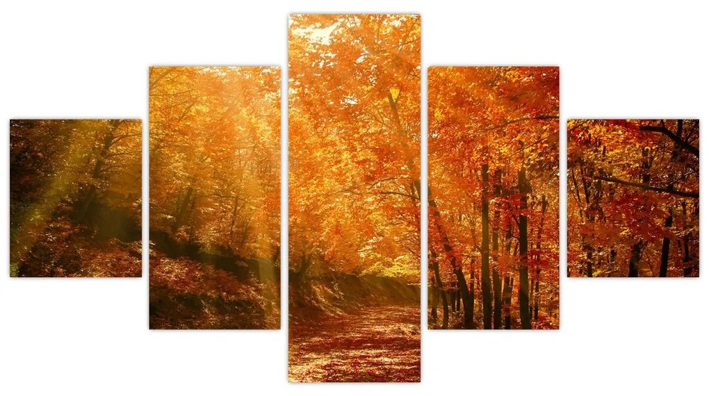Obraz jesiennego lasu (125x70 cm)