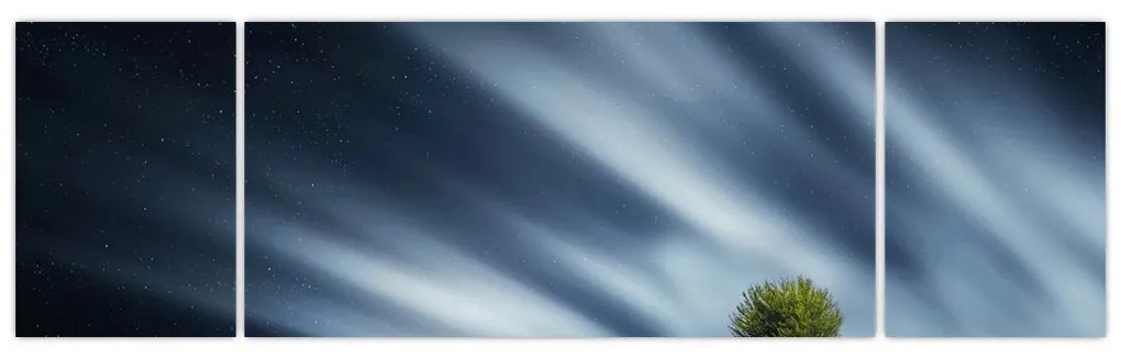 Obraz zorzy polarnej nad wrzosowiskami (170x50 cm)