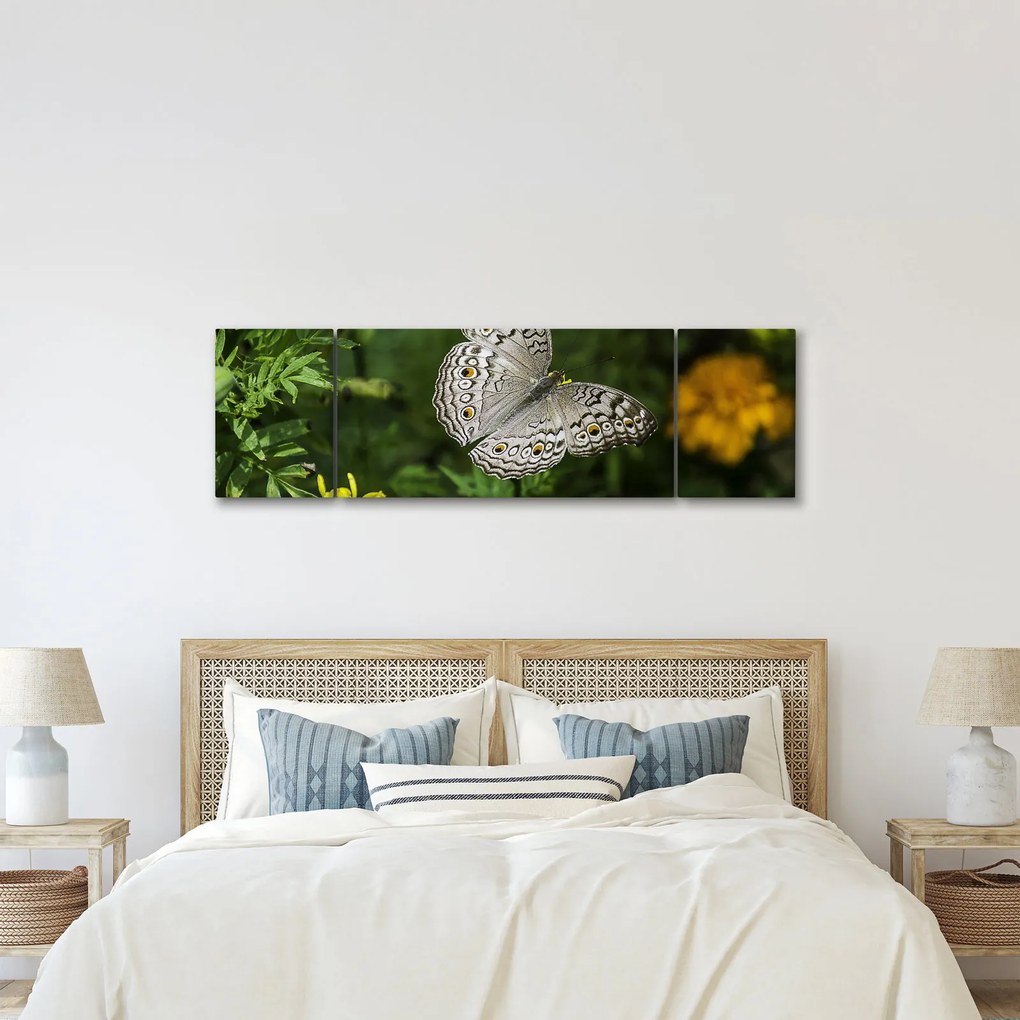 Obraz - biały motyl (170x50 cm)