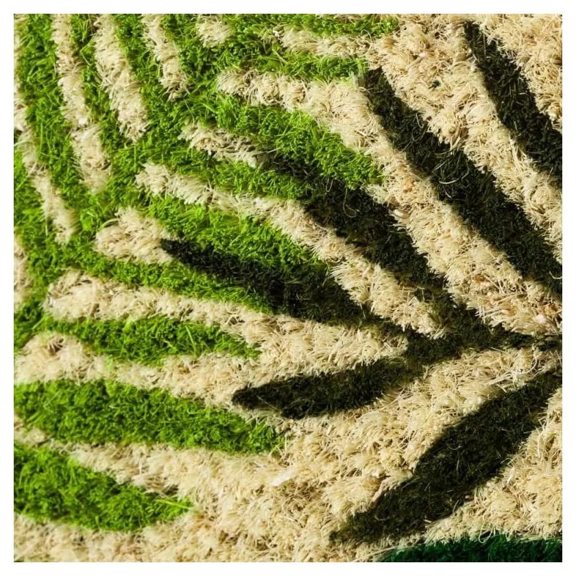 Wycieraczka z włókna kokosowego 60x40 cm Tropicalia – Casa Selección