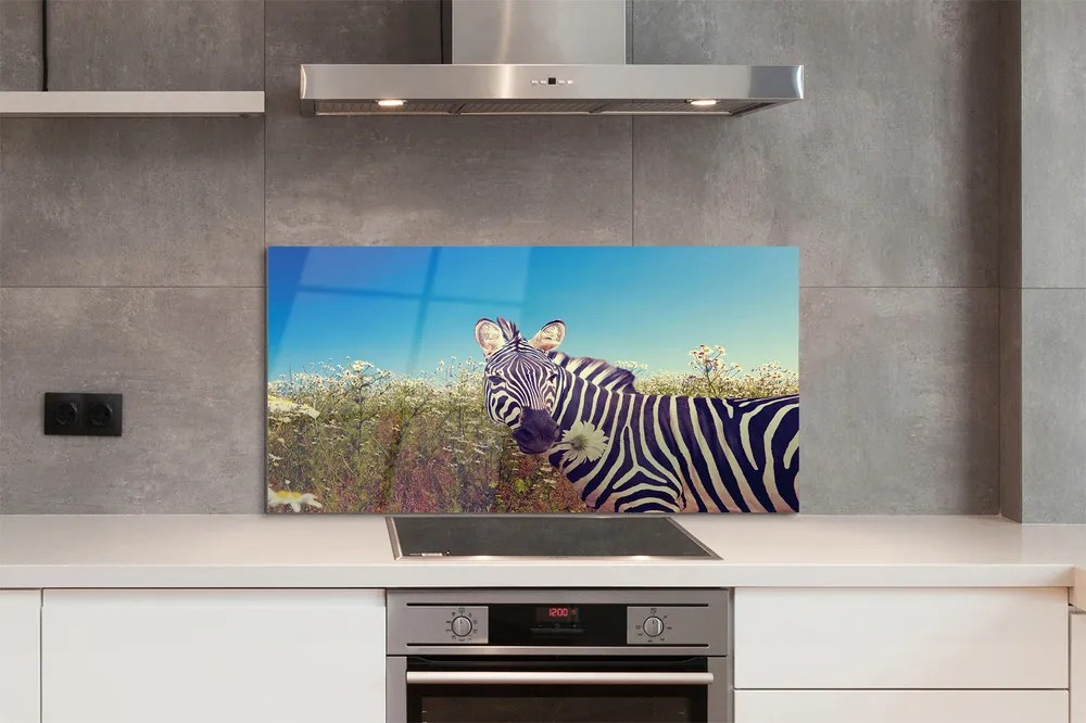 Panel szklany do Kuchni Zebra wśród Polnych Kwiatów