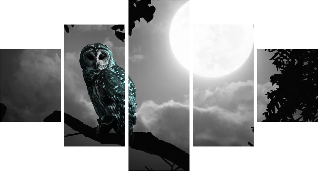 Obraz - Nocna sowa, niebieski (125x70 cm)