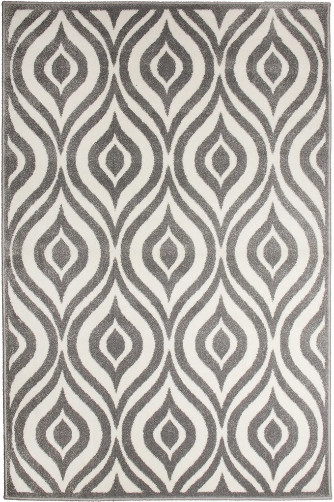 Dywan Koloreo Muszelki biało - szary 200x300 Prostokąt