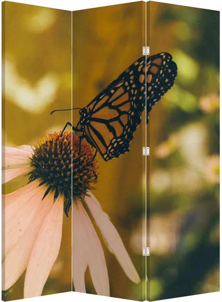 Parawan - Motyl na kwiatku (126x170 cm)