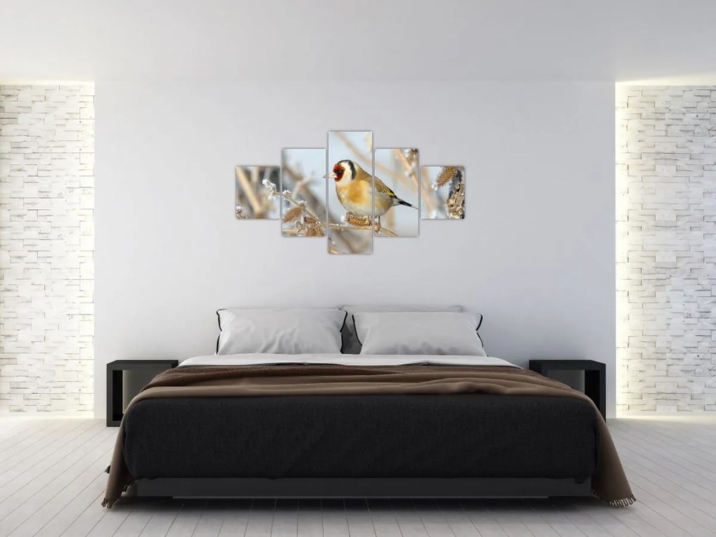 Obraz - Szczygieł (125x70 cm)
