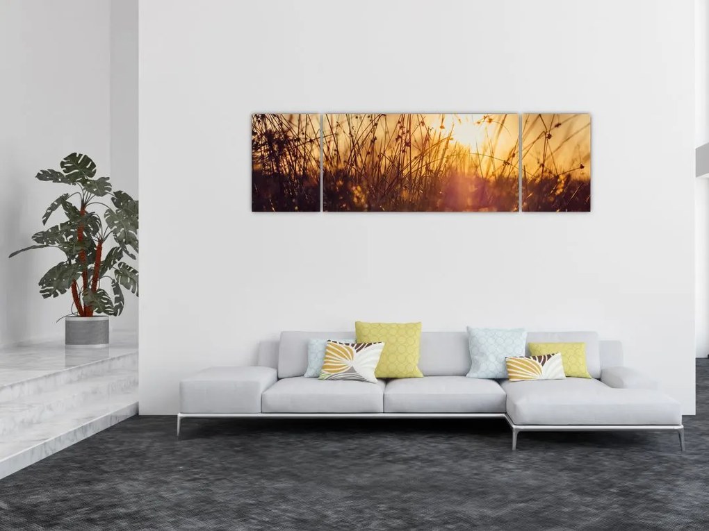 Obraz pola o zachodzie słońca (170x50 cm)