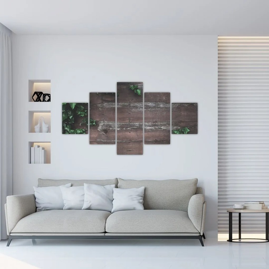 Obraz - Bluszcz (125x70 cm)