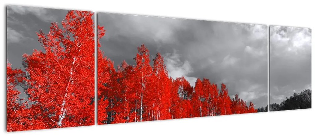 Obraz - Drzewa w kolorze jesieni (170x50 cm)