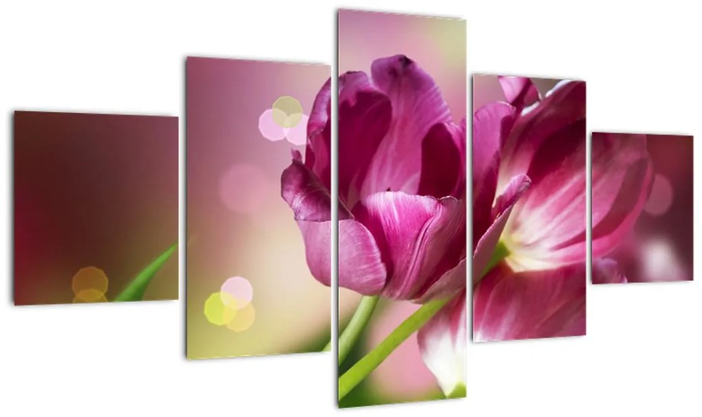 Obraz różowych tulipanów (125x70 cm)
