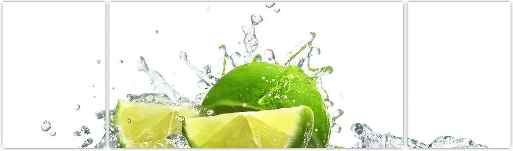 Obraz - Limes (170x50 cm)