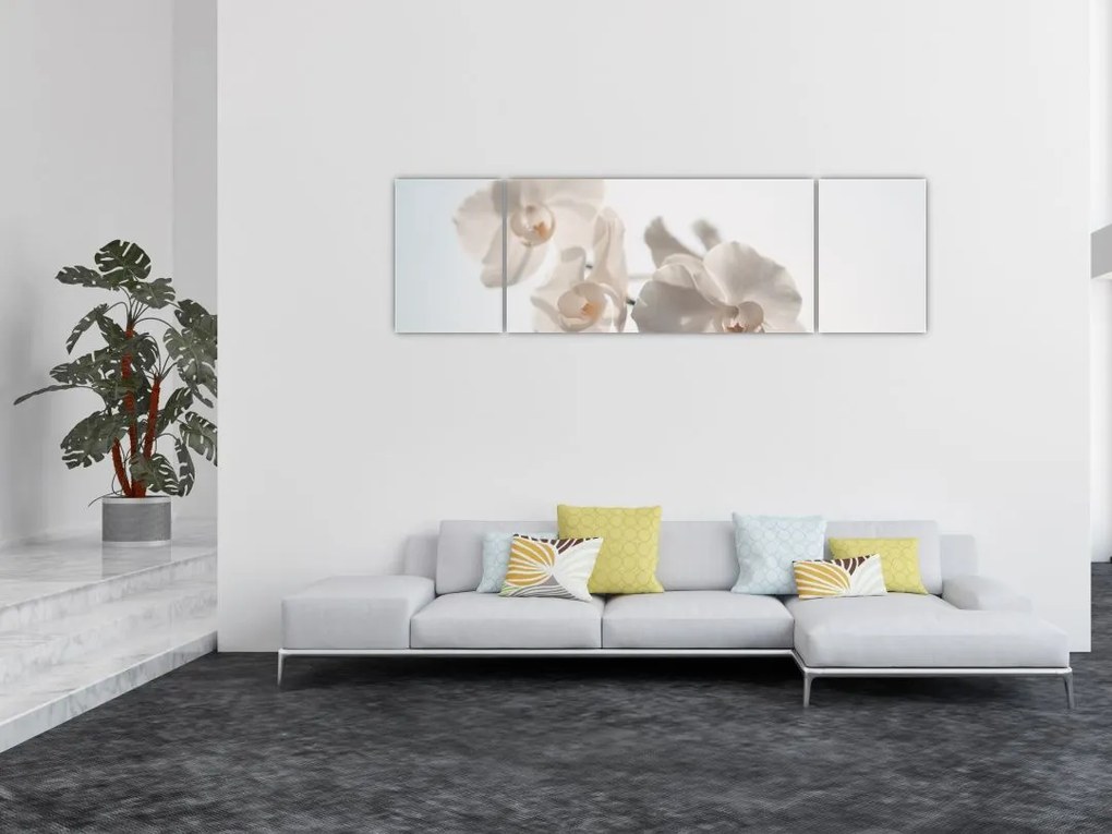 Obraz białej orchidei (170x50 cm)