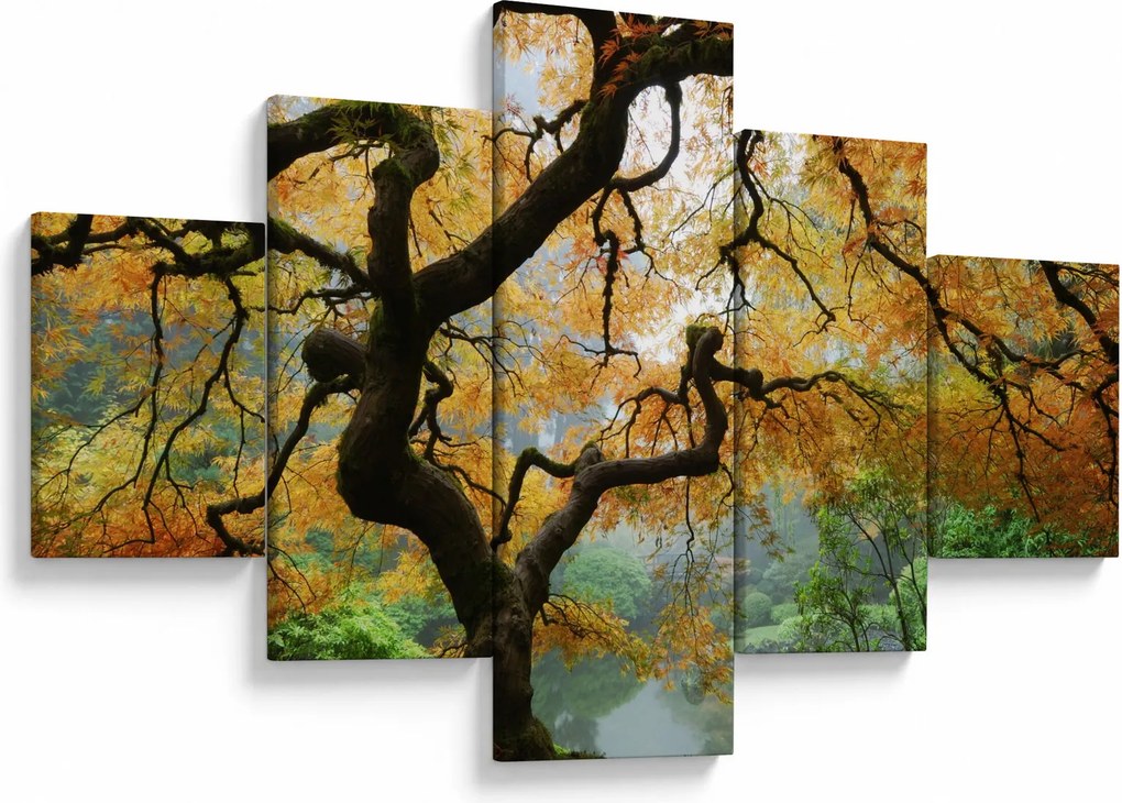 Obraz żółtego klonu japońskiego, Portland, Oregon (125x70 cm)