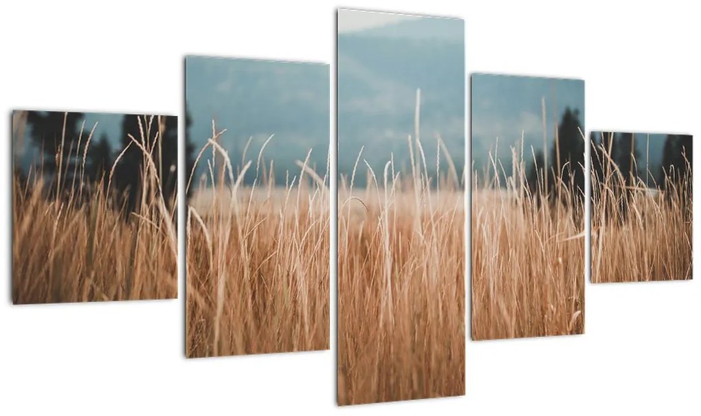 Obraz - szczegół łąki (125x70 cm)
