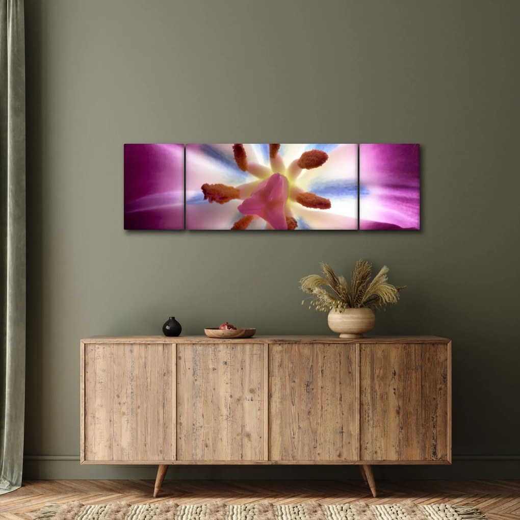 Obraz - Kwiat tulipana w szczegółach (170x50 cm)