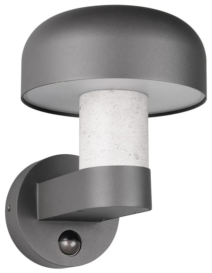 Zewnętrzna lampa ścienna (wysokość 24,5 cm) Fraser – Trio
