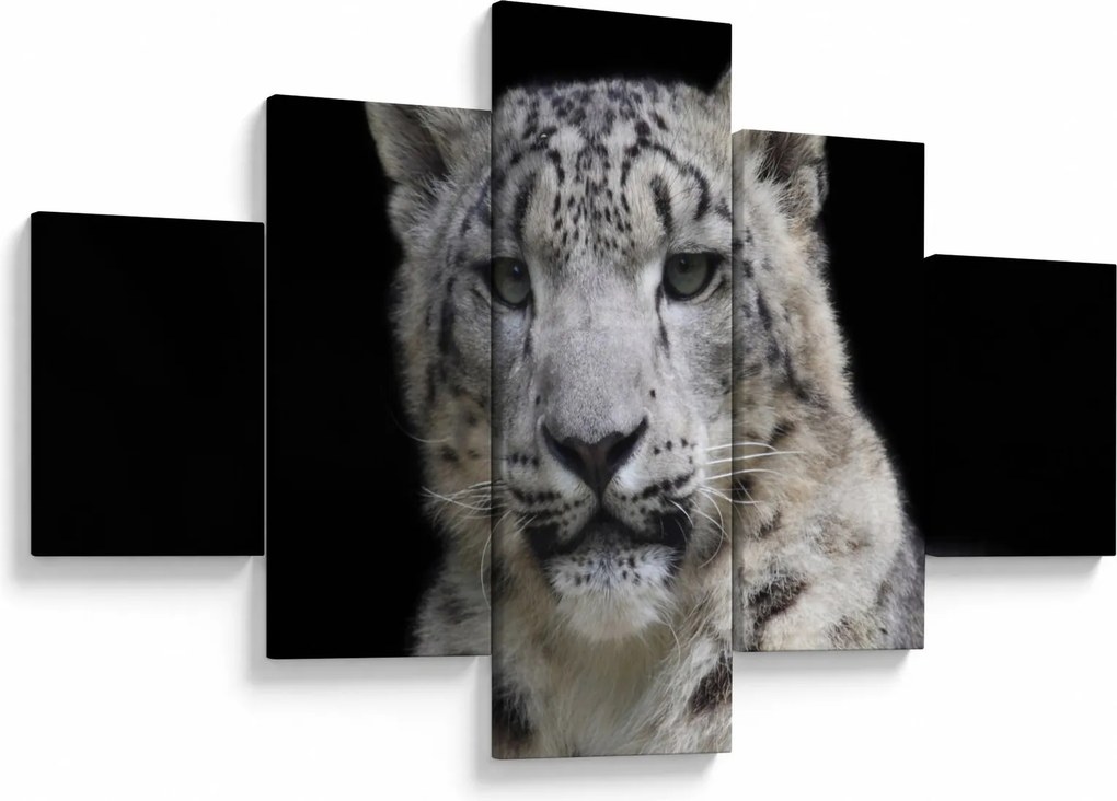 Obraz - Snow Leopard (125x70 cm)