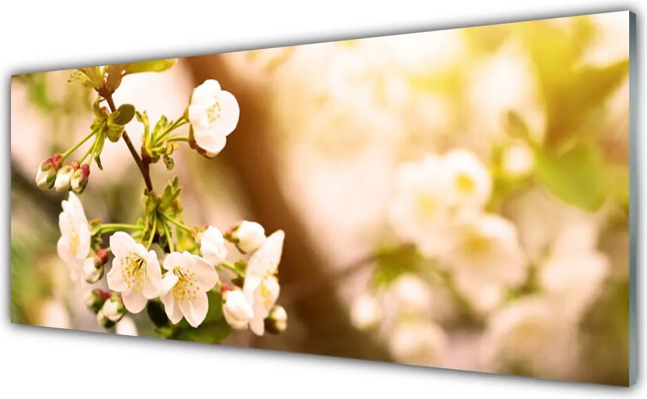 Szkło Dekoracyjne do Kuchni Romantyczna Flora Ogrodowa