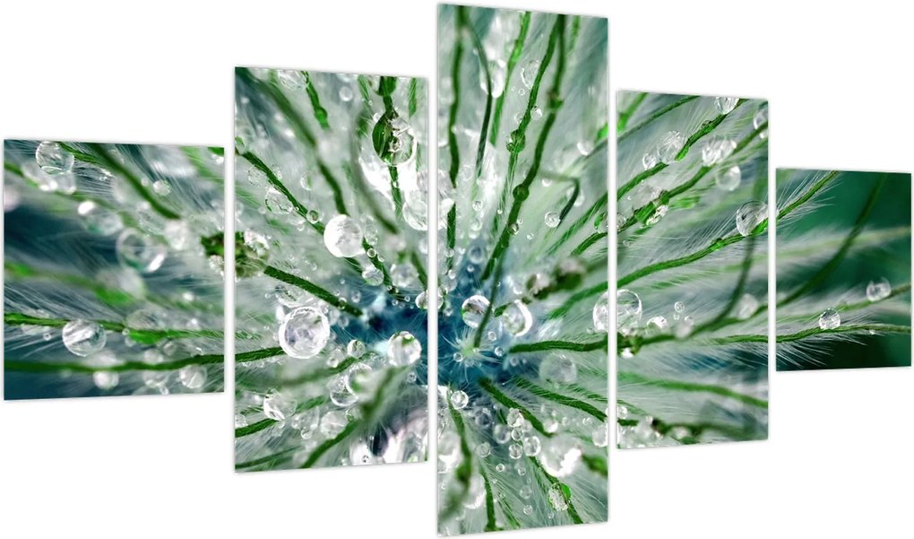 Obraz - Makro zdjęcie kwiatu (125x70 cm)