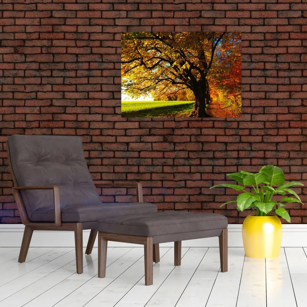 Obraz na szkle - jesień (70x50 cm)