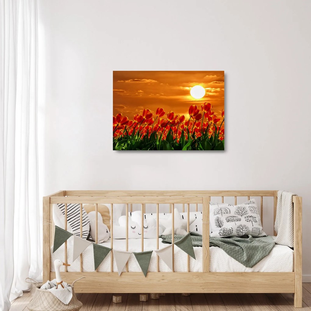 Obraz na szkle kwitnącego pola z tulipanami (70x50 cm)