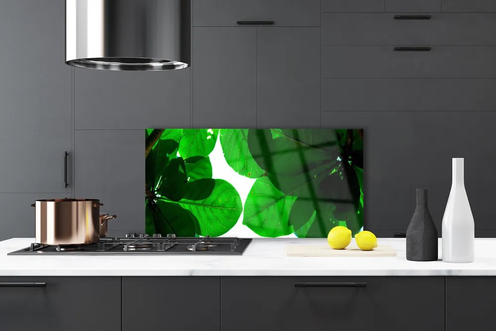 Panel Kuchenny Stylowy Motyw Botaniczny