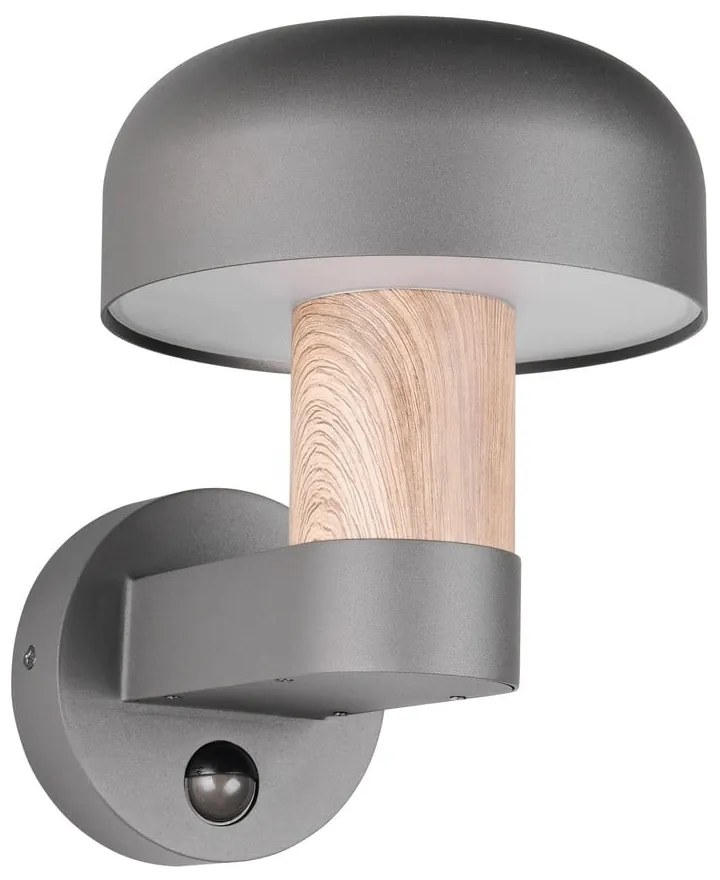 Zewnętrzna lampa ścienna (wysokość 24,5 cm) Fraser – Trio