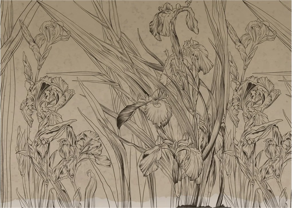 Obraz - Kontury roślin (70x50 cm)