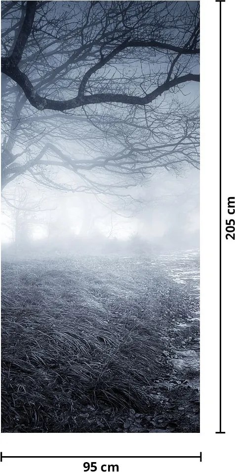 Fototapeta na drzwi - Ścieżka we mgle (95x205cm)