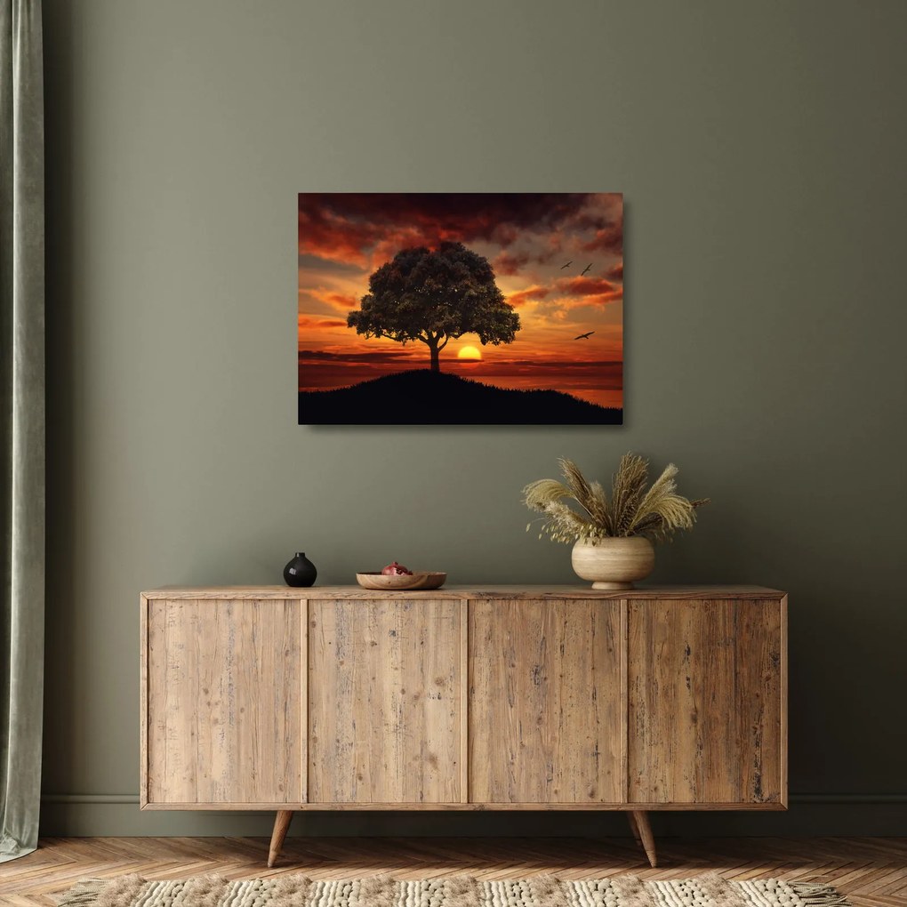 Obraz na szkle drzewa o zachodzie słońca (70x50 cm)