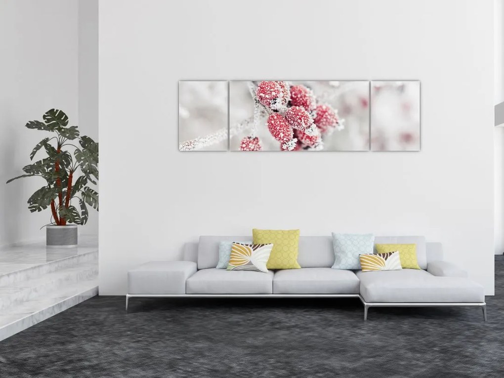 Obraz - Mrożone owoce (170x50 cm)