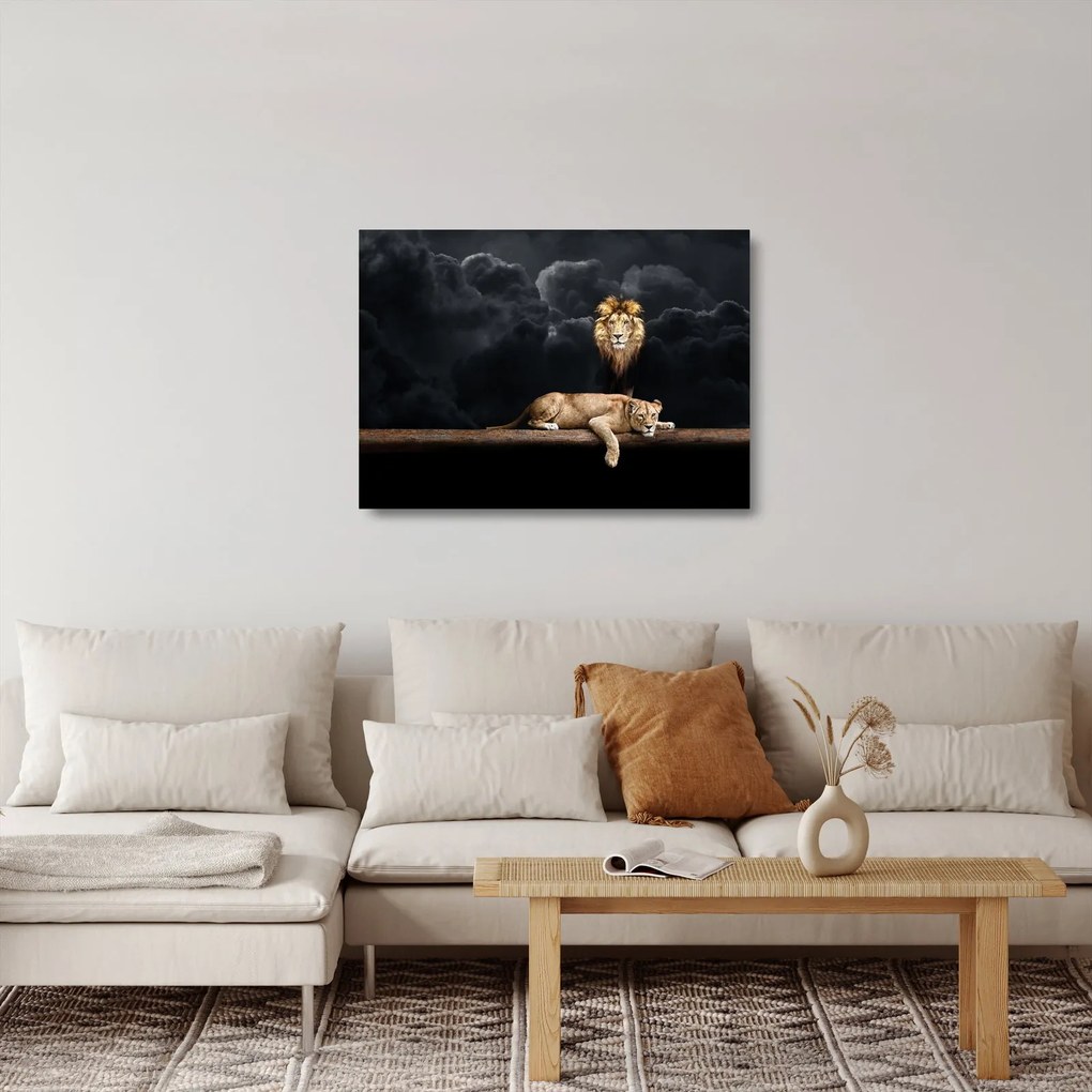 Obraz na szkle - Lew i lwica w chmurach (70x50 cm)