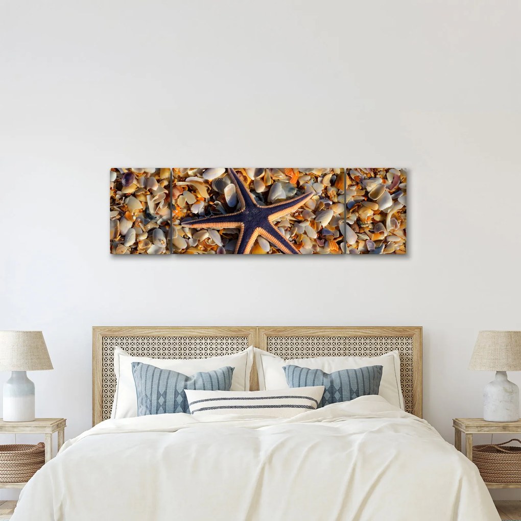 Obraz rozgwiazdy (170x50 cm)